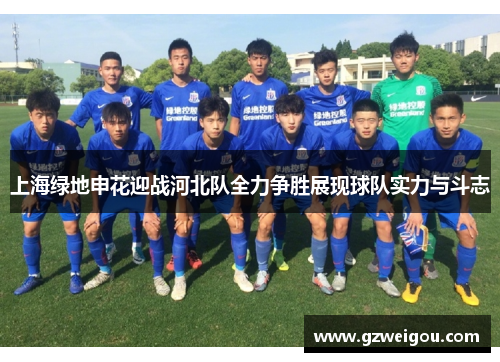 上海绿地申花迎战河北队全力争胜展现球队实力与斗志