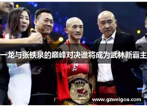 一龙与张铁泉的巅峰对决谁将成为武林新霸主